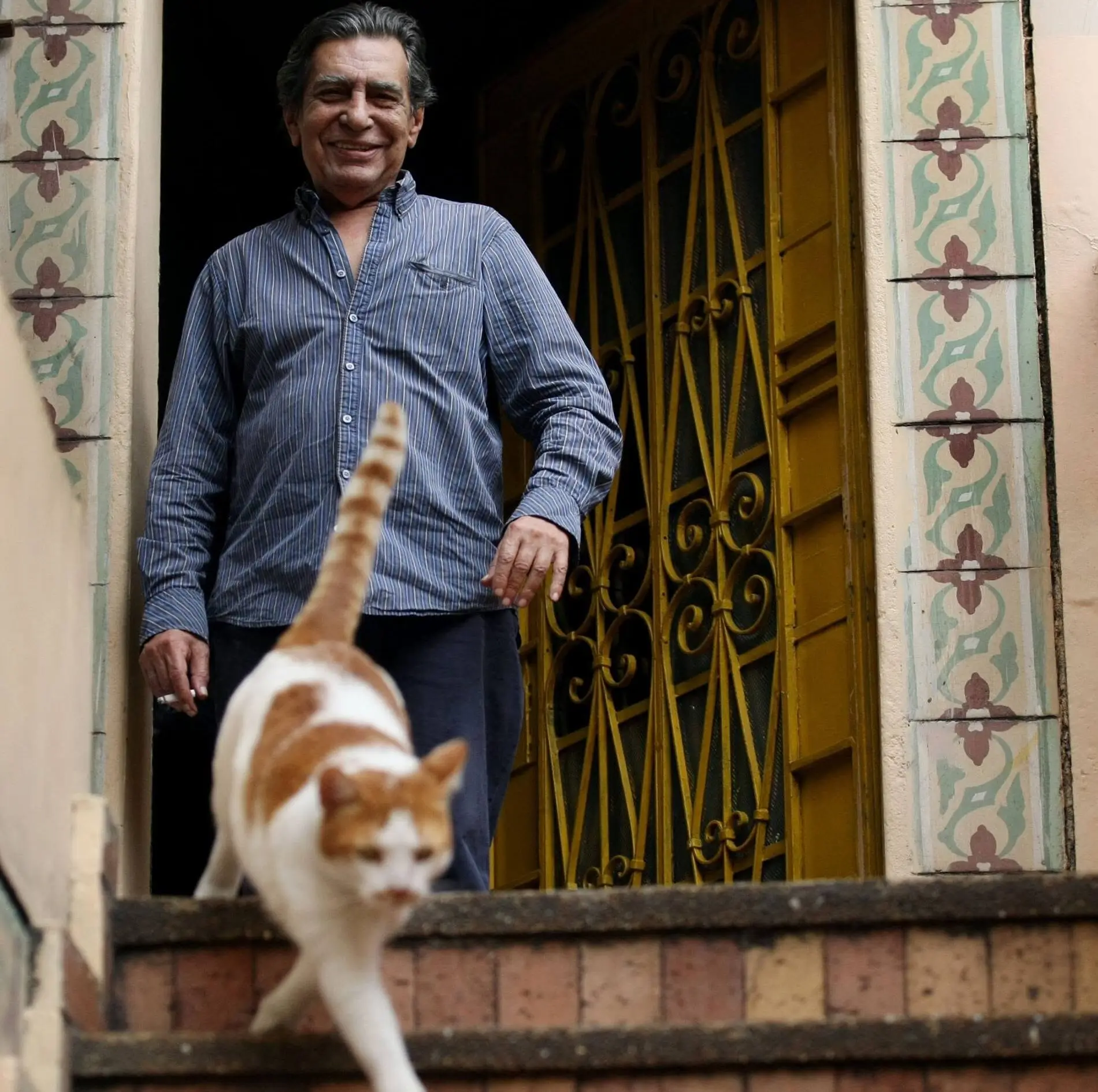 Alejandro Valencia Tejada, el hombre que llenó de gatas el río Cali
